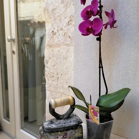 Ammira Apartament